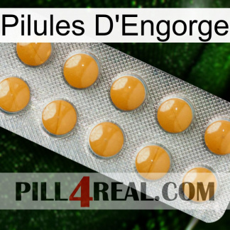 Engorge Pills levitra1
